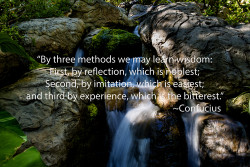 Knowledge vs. Wisdom