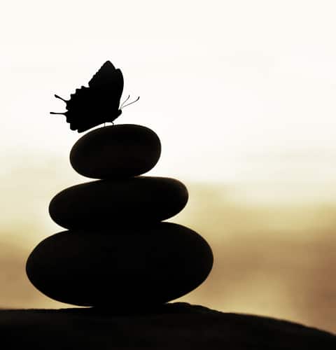 Persistence in Addiction Recovery