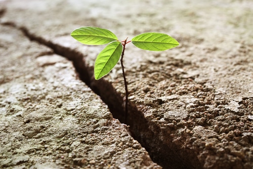 Addiction Recovery Action