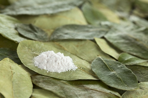 Cocaine and Addiction