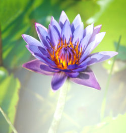 Emotional Sobriety In Recovery