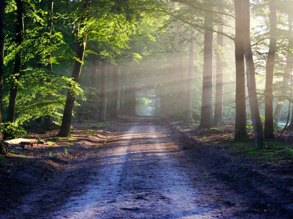 Taking the Road Less Traveled
