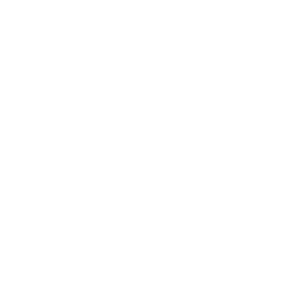 compass icon