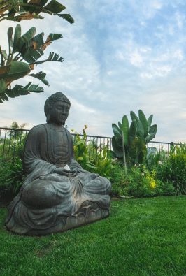 budda statue in yard