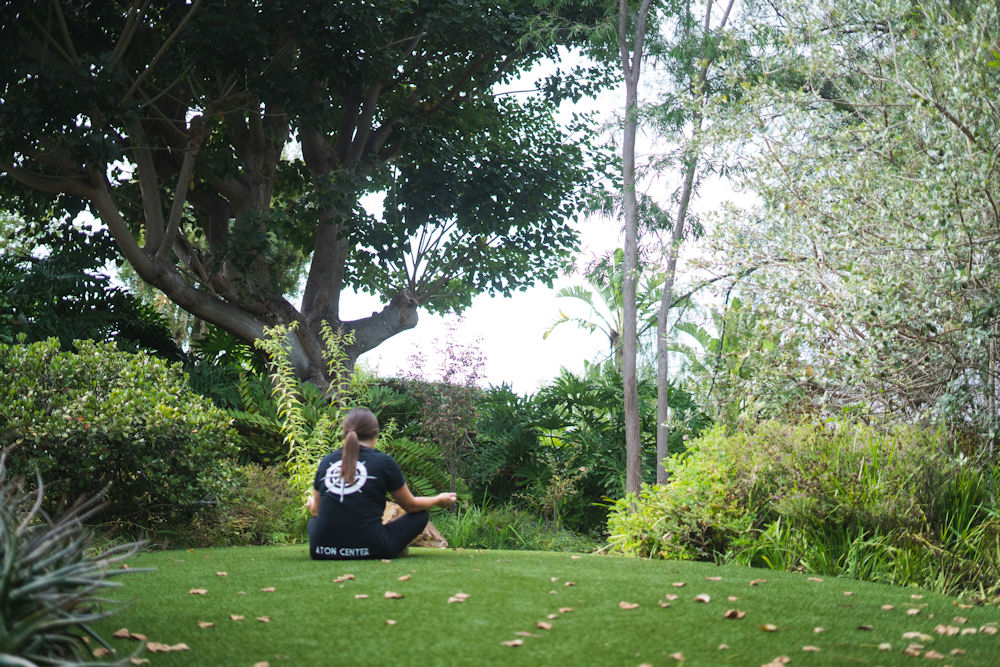 holistic treatment benefits in California